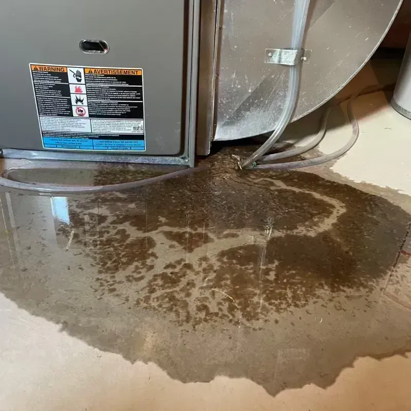 Appliance Leak Cleanup in Woodstock, IL